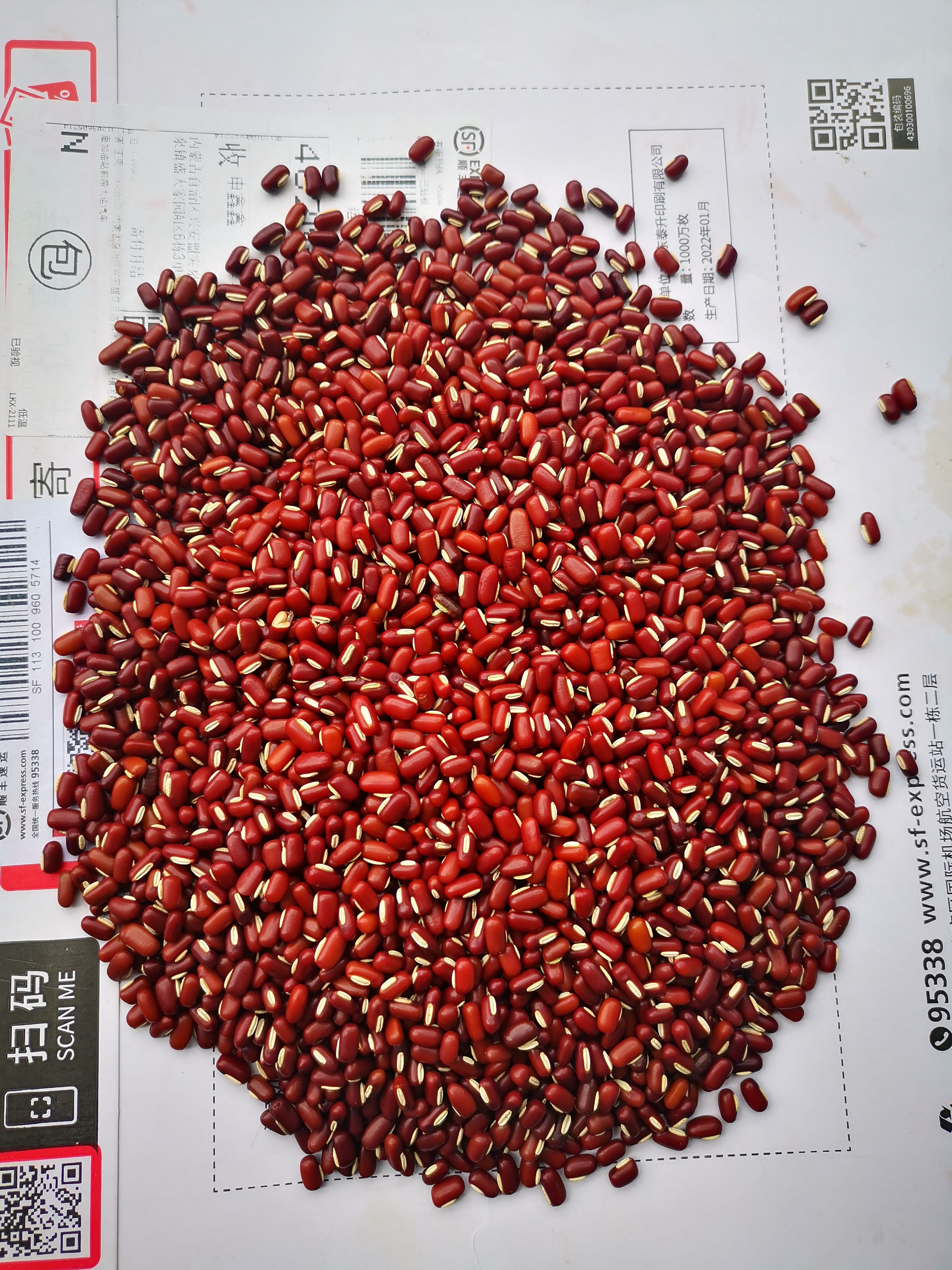红竹豆10000/吨